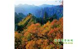 長(zhǎng)沙往返張家界、天子山、寶峰湖/黃龍洞三日游