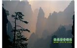 張家界國(guó)家森林公園、寶峰湖/黃龍洞、鳳凰古城、三峽八日游